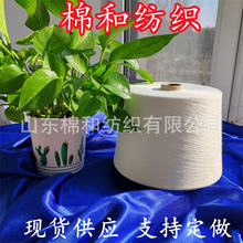 rţq 80/20 12S 16S 21S p͸, q Sֱl