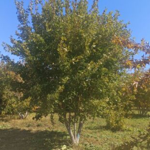 4-7�ׅ���Ԫ����  ������Ǘ�  ��Ǘ� Ԫ���� �|������