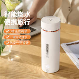 全球通用便携式烧水壶旅行加热烧水杯小型家用热水壶保温杯电热杯