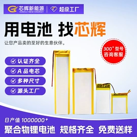 锂电池
