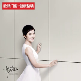 平开门;其他装饰线板;进户门