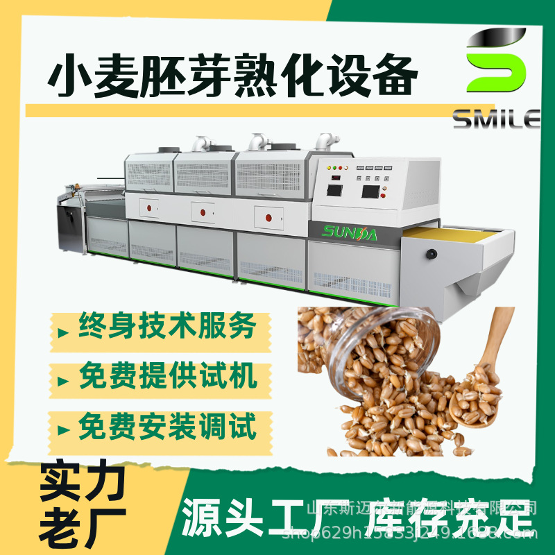 杂粮微波熟化烘干 小麦胚芽干燥脱水设备隧道式微波熟化设备
