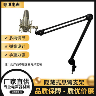 High-End Springless Cantilever Bracket Foldable Microphone Bracket Live Broadcast Microphone Microphone Cantilever Bracket Wholesale