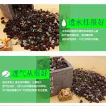 ���ʯ���⌣�����������I�B�w��ֲ������̿����ɽʯ�~��