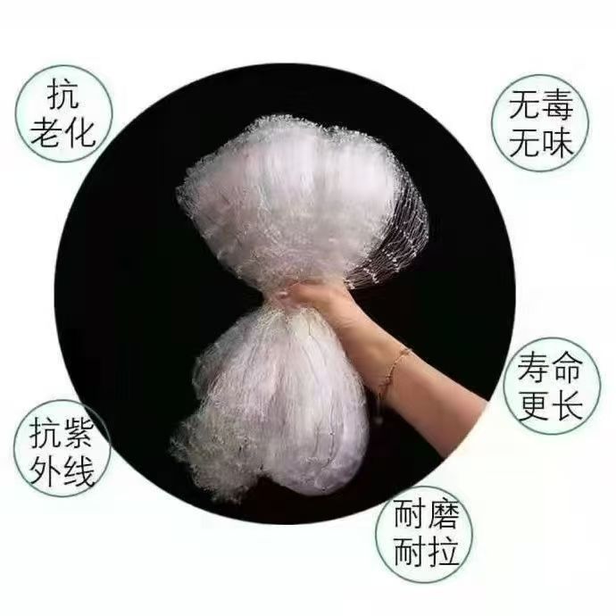 微信图片_202504221654261