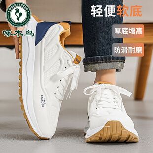 ��ľ�B������Ь����2026�¿���ʿܛ�װ����ܲ��\���ϵ�Ь���e��Ь