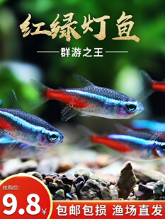 �Ꭷ�^�p���~���B��ɏ�����R��ˮ���~�����ɿ�ȸС�ͼt�G����С�~