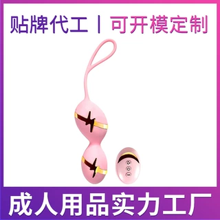 SM道具电击跳蛋遥控充电外出情趣性用品另类玩具大人玩具成人用品