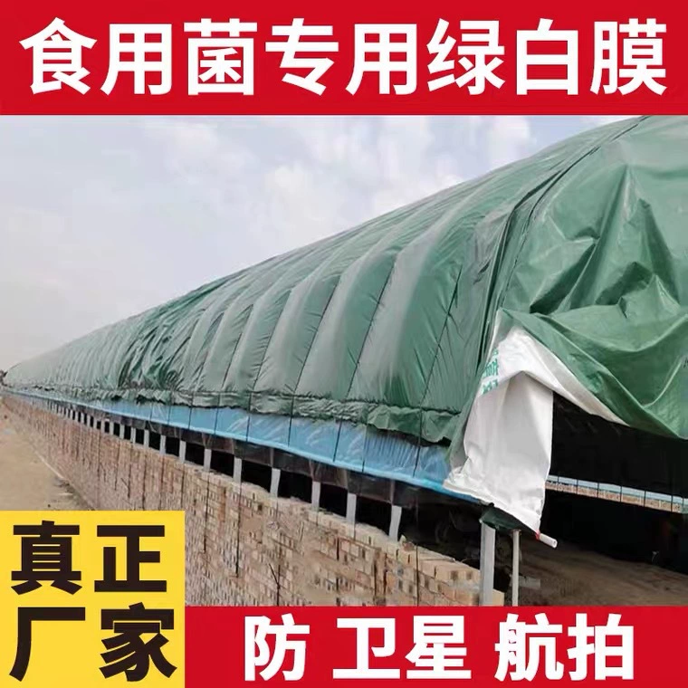 Зеленая белая пленка Съедобный гриб Пленка для теплицы Посадка Анти-аэрофотосъемка Утолщение Долголетие Пылезащитная изоляция Разведение свиней Теплица Куриное разведение