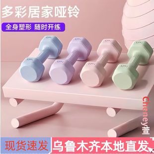 Xinjiang Free Shipping Dumbbell Women's Fitness Household Equipment Children's Yoga Women's Kettlebell Small Dumbbell Men's Arm Muscle Training