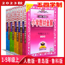 2023秋小学教材全解一二三四五年级上册语文数学英语青岛版五四制