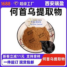 现货包邮 何首乌提取物比例 何首乌粉 何首乌提取物1kg起订