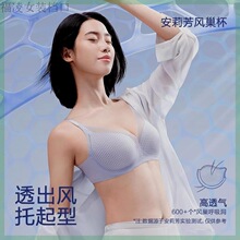 ������֧�š�����ͬ�������Ůʿ������С����͸������������