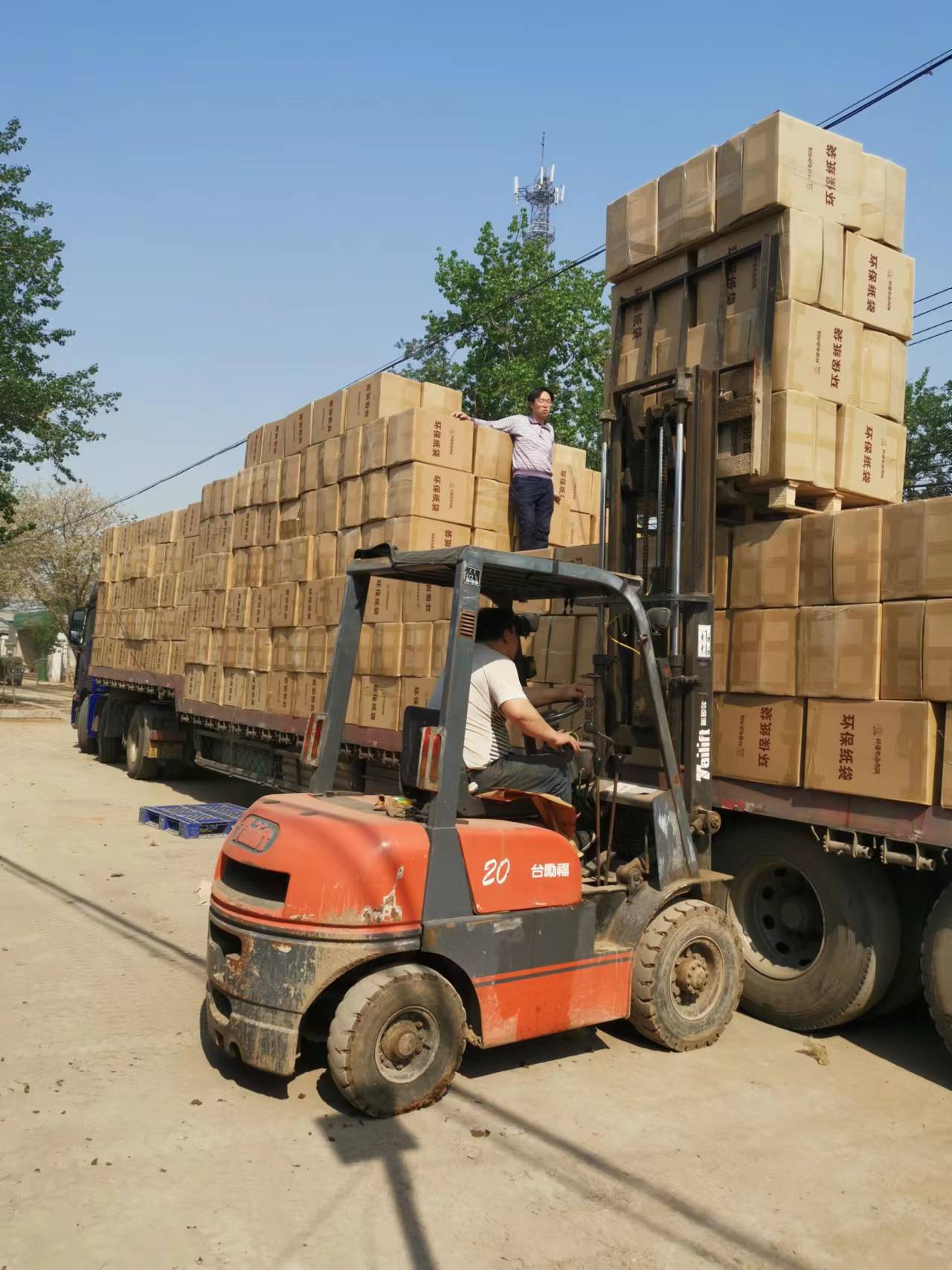 1aab873fd84196746b81f74263a457