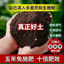 清仓养花营养土家庭园艺肥料通用型多肉种花种菜种植土有机营养土