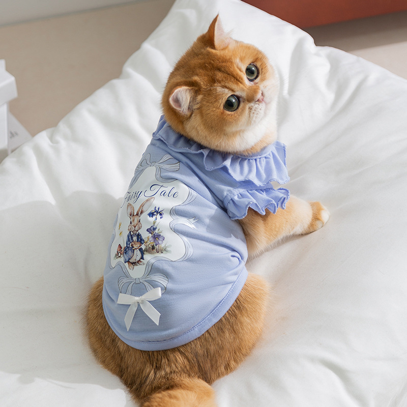 Primavera y verano gato dibujos animados conejito chaleco con cuello de encaje gato sin pelo gatito de dos patas delgado perro ropa para mascotas