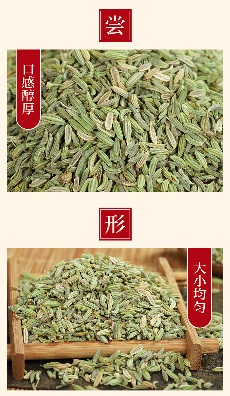 Fennel Seed Powder (Foeniculum vulgare) — Dried Food-Herb Spice, 500g Bulk key features