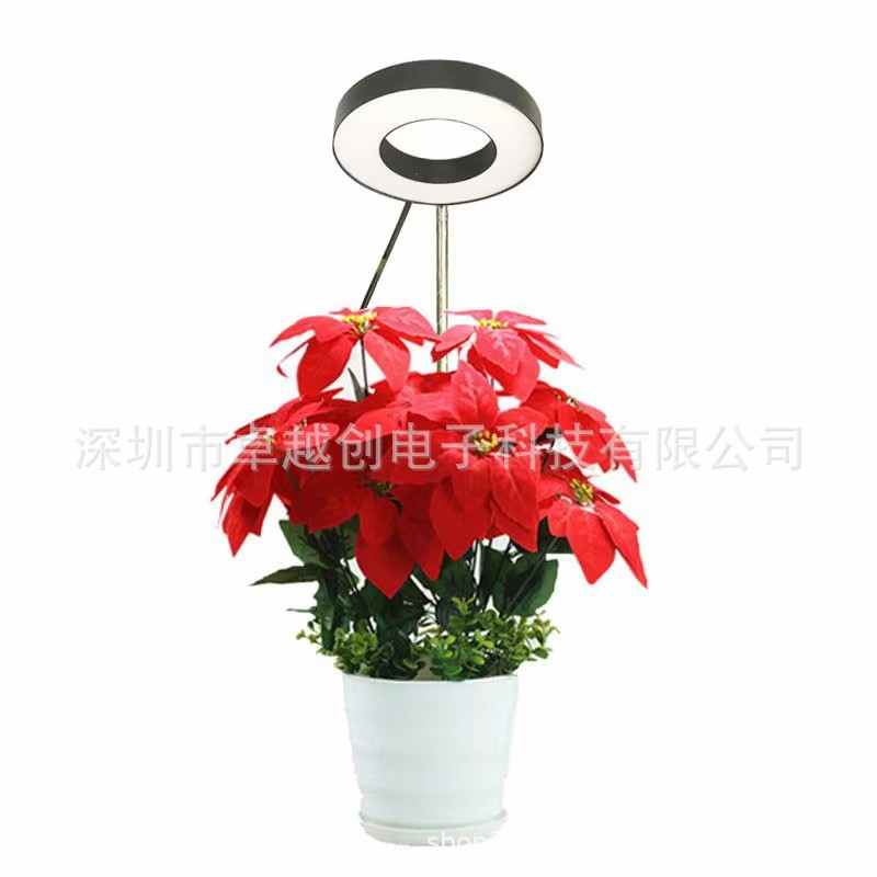 Plant lamp, ring lamp, potted plant, plant, ornaments