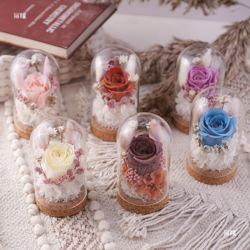 永生花礼品七夕情人节圣诞节创意礼物玻璃罩玫瑰花摆件厂家亚马逊