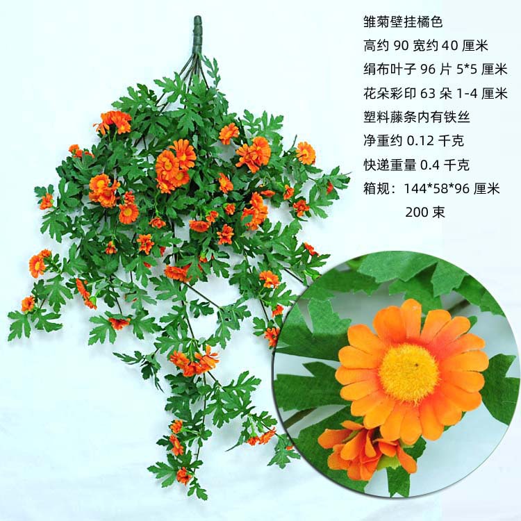 雏菊壁挂橘色