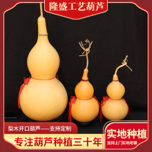 ��ľ�_�ں��J�[�� �_�ں��J�����Ҿӹ�ˇƷ�����_�ں��J