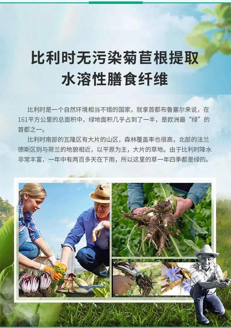 菊粉_04.jpg