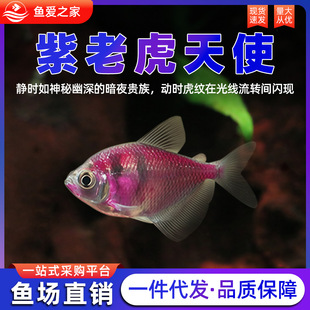 ���ϻ���ʹ�^�p�~��ˮ�Ꭷ�~С���~���~���~���B�ͻ��߲��~�����~