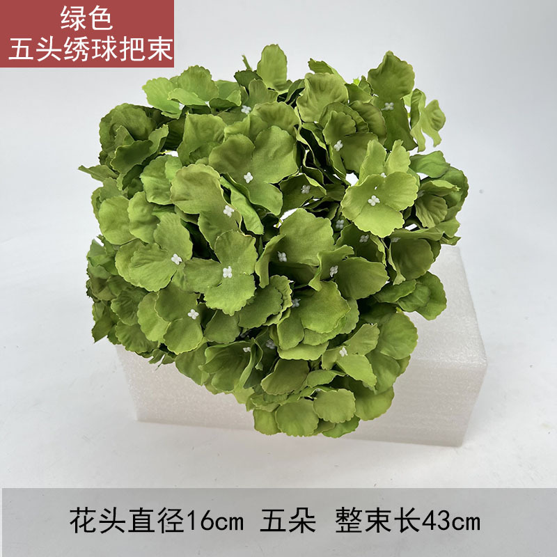 Hortensia de cinco cabezas - verde