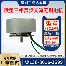 微型三相異步交流無刷手搖式發電機 029-002(A)廠家批發