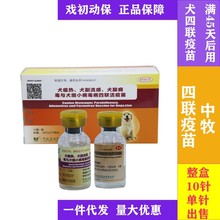 中牧犬四联疫苗土狗养殖场专用预防犬瘟细小肉狗防疫幼犬疫苗养殖