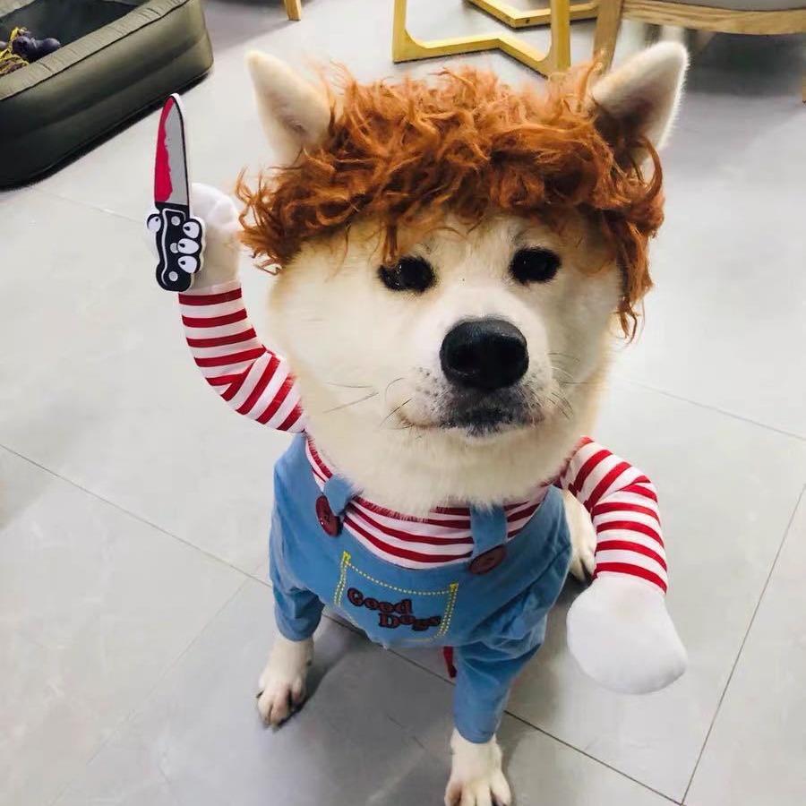 할로윈 반려동물 코스튬 칼 든 공포 인형 강아지 고양이 변신옷 소형견 중