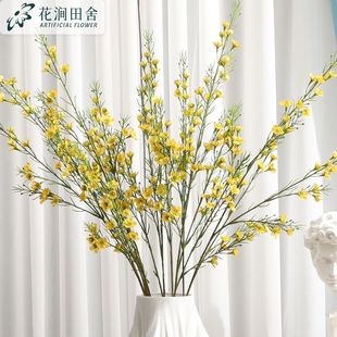 ��������D÷ӭ����÷����c�Ҿ�ܛ�b���̔zӰ�b���@�L���l����