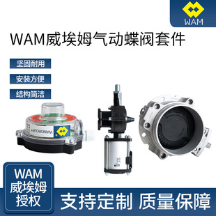 WAM����ķ��ӵ��y���