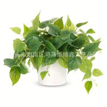 ����G�}�~�������ϼٻ�����Gֲ�҃�������辰�b���