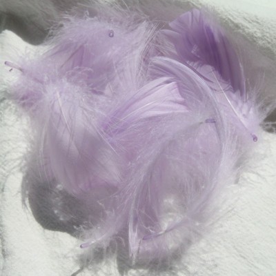 라이트 퍼플 (100 PC)