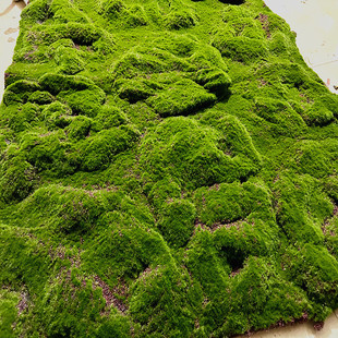 ����̦�\��̺��������ƺ��̦���Gֲ���@���Ļ��^ܛ�bɳ�P���^ˮ�