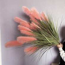 �D߃���Wֲ���JȔ�ݹ�β�ݼٻ��k���ҾGֲ�����b[�����[��