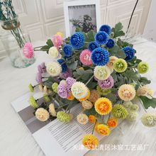 5^ֲqСҰ cYbӼb[ٻСr