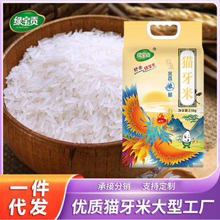 �������㡿5��G��ؕ؈�������������ܛŴ�L������׃��|����