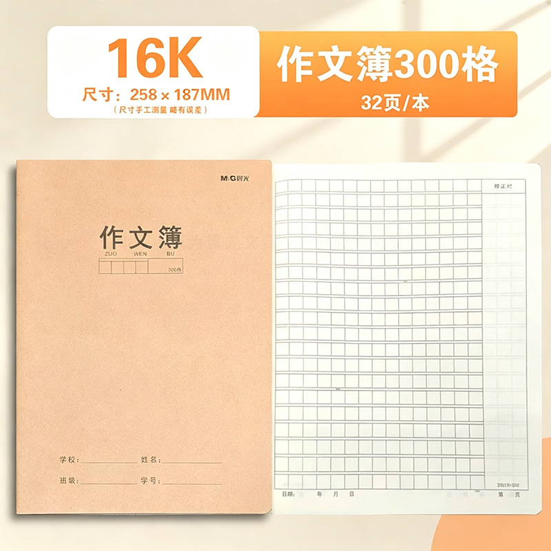 作文300格