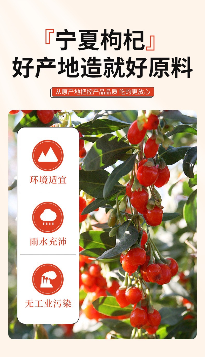 Ningxia Goji Berry Puree 30ml Portable Sachet Fresh-Pressed Red Goji Juice Ready to Drink key features