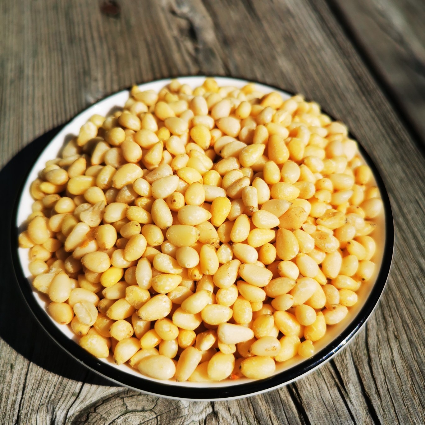 微信图片_20230309164141