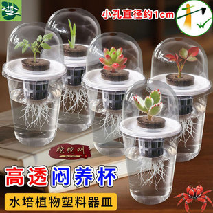 ˮ��N�ӻ������ϱ���ϵ�N�Ӷ���t���Nֲ��ֲ�@�Nֲ�����߲����L