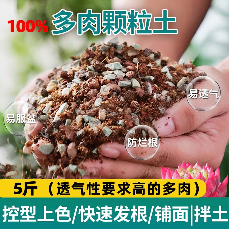 Succulent soil [100% particles] 2.5kg