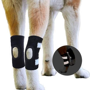 �羳������Ʒ���o�ȷ��⹷�oϥ�o��ϥ�w�o�������P�����o�״���Ȯ