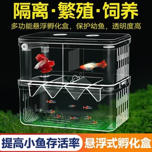 ���~���������ȸ�~��ֳ�Ꭷ�~�a����B�בҸ��p�����~С�~���x��