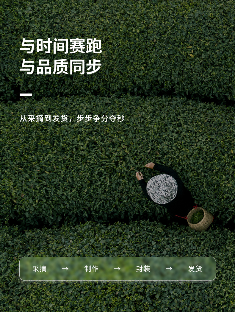 大荼永道详情-定稿_16.png