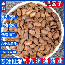 中药材批发 瓜蒌子 散装优质瓜楼子 瓜蒌仁 各种常用冷背奇药材
