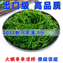 �s���Rβ�����r�}�n5�ﺣ����򗫲��L�۲˺����Pβ�˱��ڹS����