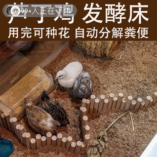 �J���u�|�ϰl�ʹ��u��|�ϰl�͔[���B�i�u���Z�B� ����|��